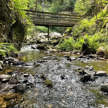 Le Blanc De Avec Chalet Gérardmer