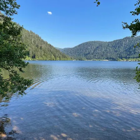 Chalet Le Blanc De Avec Gerardmer